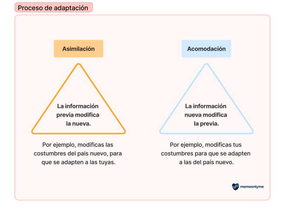 eaquema que explica los procesos de asimilación y acomodación